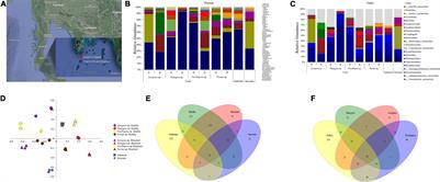 Microbiomes of Healthy and Bleached Corals During a 2016 Thermal Bleaching Event in the Andaman Sea of Thailand